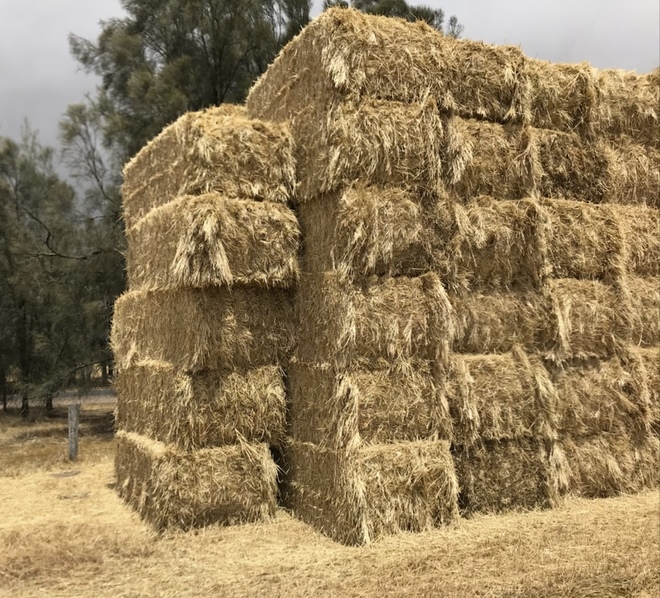 Clover Rye Hay 8x4x3 130 x 580 KG Approx Bales Hay & Fodder
